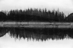 Dark Lake, Deep Woods