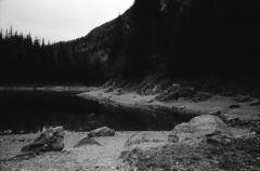 Dark Lake, Deep Woods