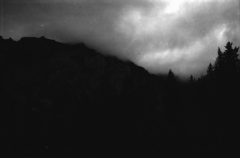 Dark Lake, Deep Woods