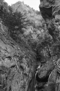 Dense Woods, Wild Canyons | Bärenschützklamm. Camera: Nikon F100, Film: Ilford FP4+. Location: Bärenschützklamm, Styria/Austria.