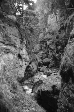Dense Woods, Wild Canyons | Bärenschützklamm. Camera: Nikon F100, Film: Ilford FP4+. Location: Bärenschützklamm, Styria/Austria.