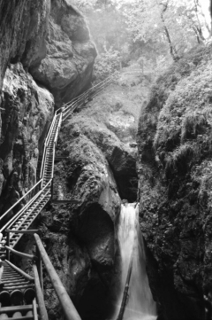 Dense Woods, Wild Canyons | Bärenschützklamm. Camera: Nikon F100, Film: Ilford FP4+. Location: Bärenschützklamm, Styria/Austria.