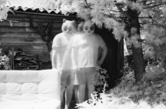 Domestic Panda: Infrared.