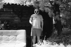 Domestic Panda: Infrared.