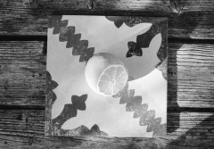 Fruit Tiles: Lemon. Camera: Nikon F100. Film: Kodak Tri-X 400 @ 400, Rodinal.