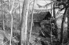 In Hell: The Black Lodge. Camera: Zorki 1. Film: Kodak Tri-X. Twin Peaks Mystery Topic.