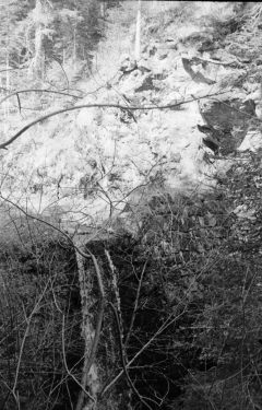 In Hell: The Black Lodge. Camera: Zorki 1. Film: Kodak Tri-X. Twin Peaks Mystery Topic.