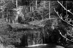 In Hell: The Black Lodge. Camera: Zorki 1. Film: Kodak Tri-X. Twin Peaks Mystery Topic.