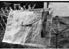looking at things | abandoned. Film: Fomapan 100.