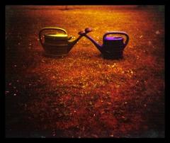 looking at things | abandoned. Camera: Holga 120. Film: Kodak E100VS. Cross Processed.