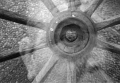 Lucid Dream: Self-Concept. Camera: Nikon F100. Film: Kodak Tri-X 400.