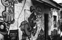 Street Art Tel Aviv, Nikon FE, Kodak Tri-X 400 @ 3200, Rodinal