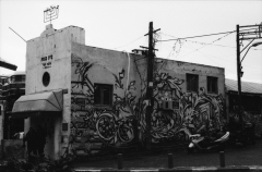 Street Art Tel Aviv, Nikon FE, Kodak Tri-X 400 @ 3200, Rodinal