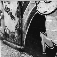 Street Art Tel Aviv, Nikon FE, Kodak Tri-X 400 @ 3200, Rodinal