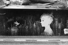 Street Art Tel Aviv, Nikon FE, Kodak Tri-X 400 @ 3200, Rodinal
