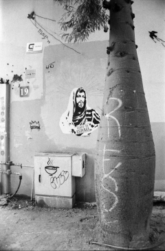 Street Art Tel Aviv, Nikon F100, Kodak Tri-X 400 @ 400, Rodinal