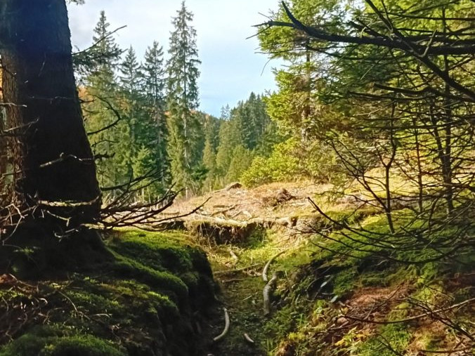 Das steirische Almenland im Südosten Österreichs