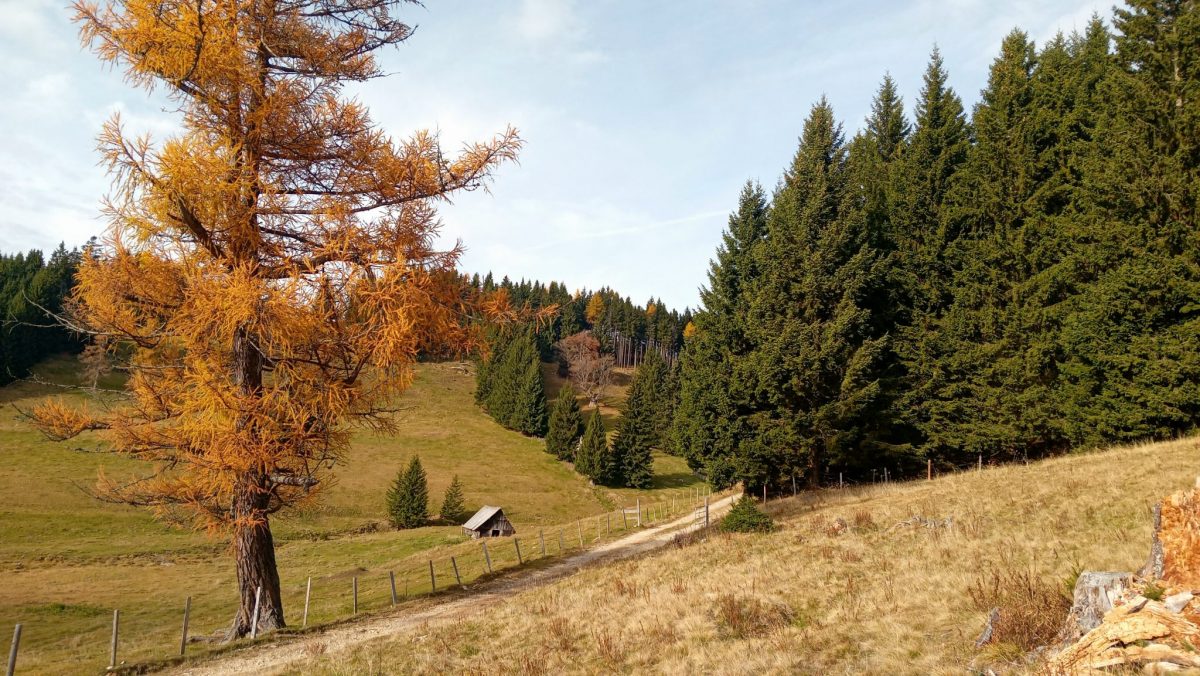 Das steirische Almenland im Südosten Österreichs